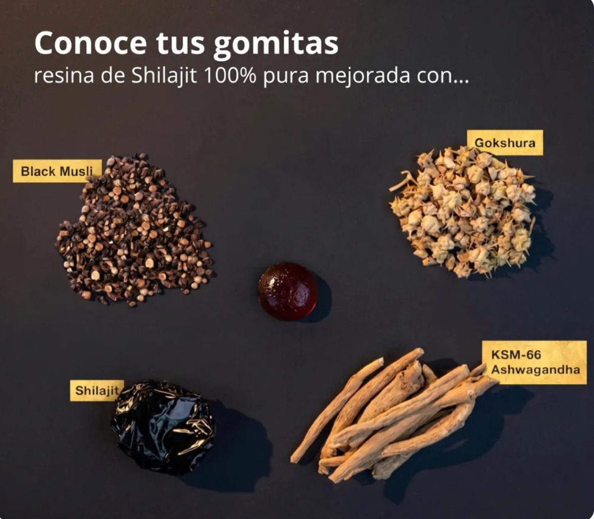 Vitalux Gold Gomitas de Shilajit puro del Himalaya